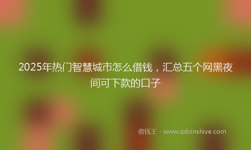2025年热门智慧城市怎么借钱，汇总五个网黑夜间可下款的口子
