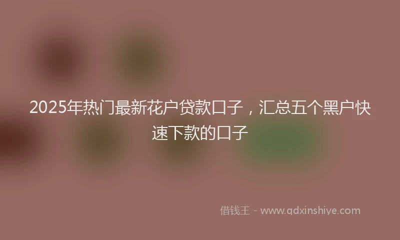 2025年热门最新花户贷款口子，汇总五个黑户快速下款的口子