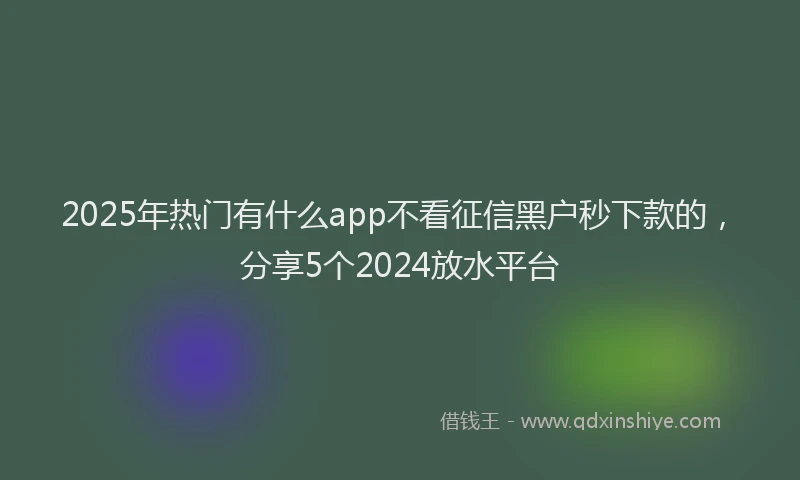 2025年热门有什么app不看征信黑户秒下款的，分享5个2024放水平台