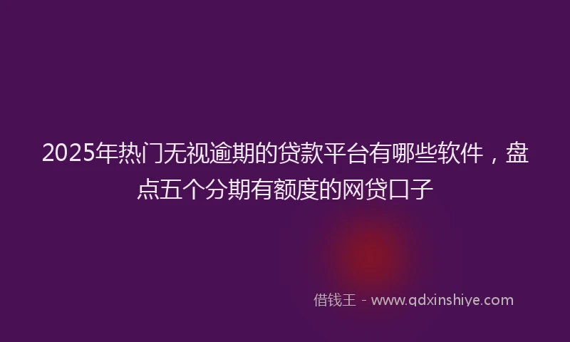 2025年热门无视逾期的贷款平台有哪些软件，盘点五个分期有额度的网贷口子