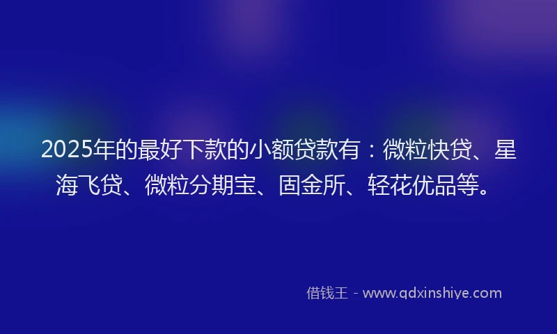2025年的最好下款的小额贷款有：微粒快贷、星海飞贷、微粒分期宝、固金所、轻花优品等。
