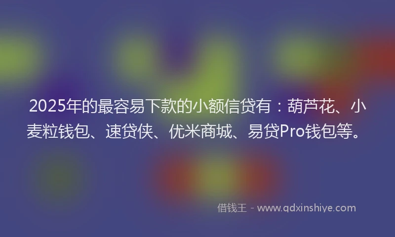 2025年的最容易下款的小额信贷有：葫芦花、小麦粒钱包、速贷侠、优米商城、易贷Pro钱包等。
