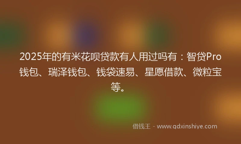 2025年的有米花呗贷款有人用过吗有：智贷Pro钱包、瑞泽钱包、钱袋速易、星愿借款、微粒宝等。
