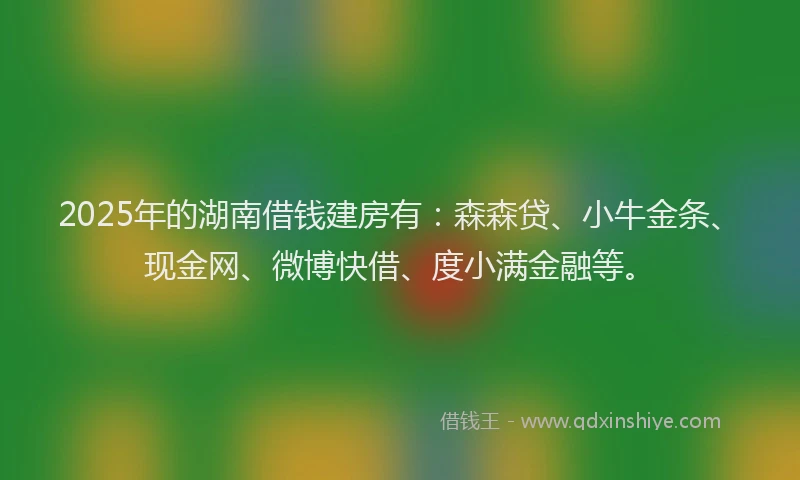 2025年的湖南借钱建房有：森森贷、小牛金条、现金网、微博快借、度小满金融等。