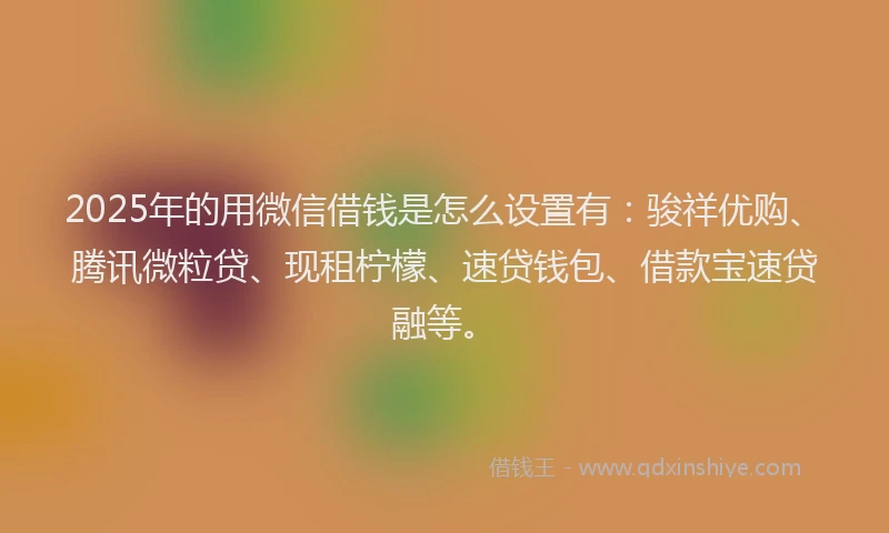 2025年的用微信借钱是怎么设置有：骏祥优购、腾讯微粒贷、现租柠檬、速贷钱包、借款宝速贷融等。