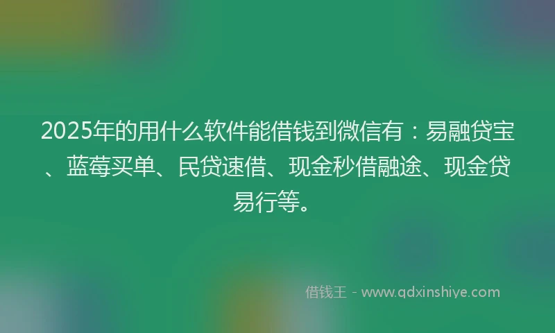 2025年的用什么软件能借钱到微信有：易融贷宝、蓝莓买单、民贷速借、现金秒借融途、现金贷易行等。