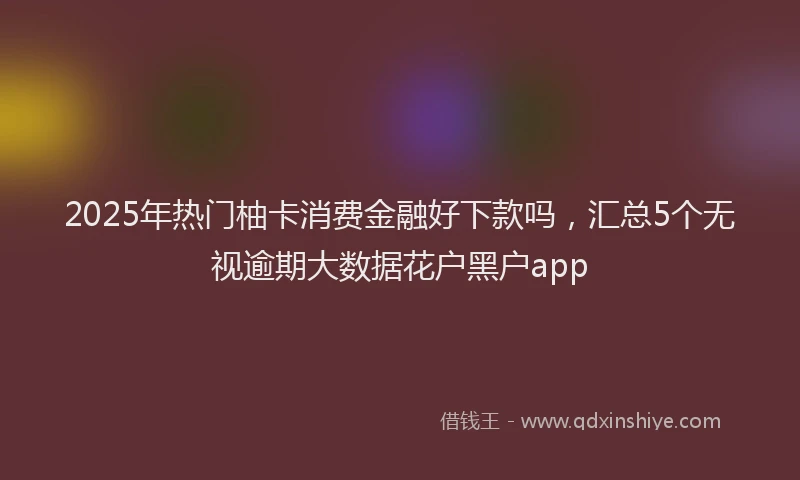 2025年热门柚卡消费金融好下款吗，汇总5个无视逾期大数据花户黑户app