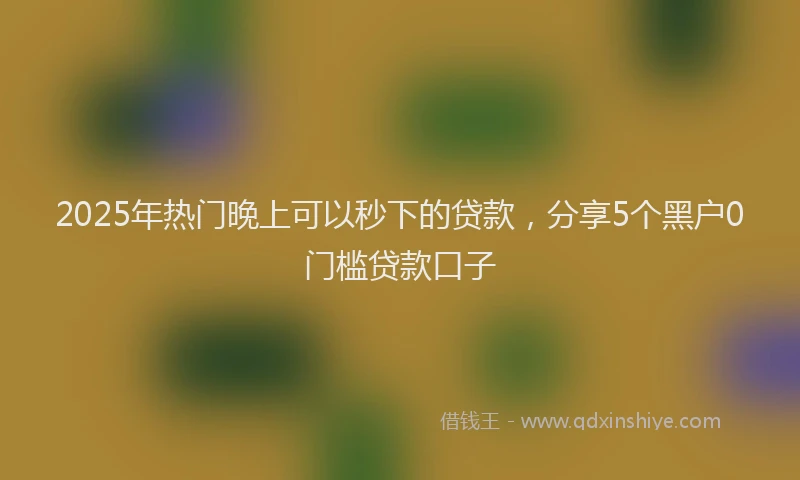 2025年热门晚上可以秒下的贷款，分享5个黑户0门槛贷款口子