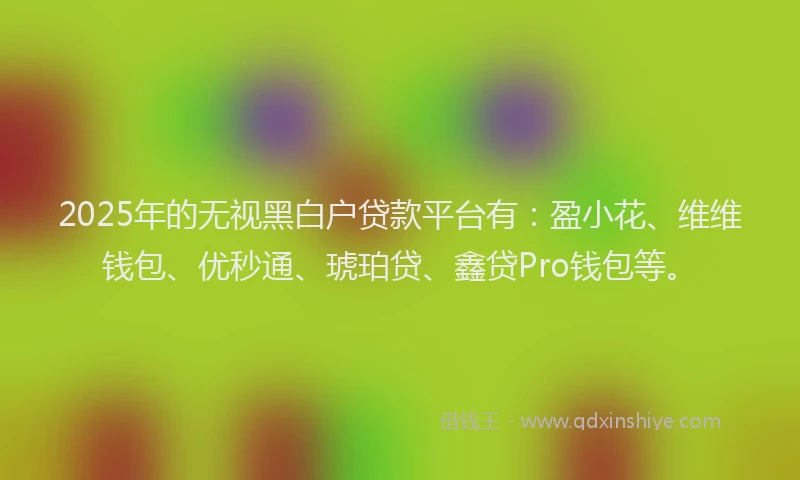 2025年的无视黑白户贷款平台有：盈小花、维维钱包、优秒通、琥珀贷、鑫贷Pro钱包等。