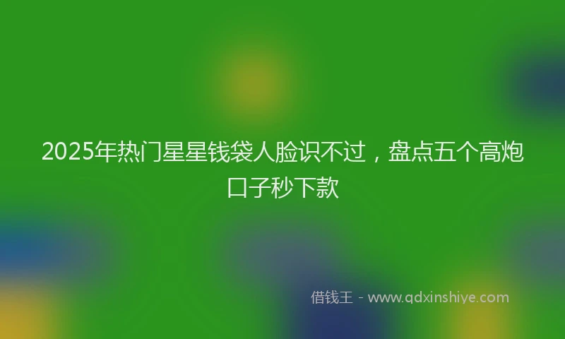 2025年热门星星钱袋人脸识不过，盘点五个高炮口子秒下款