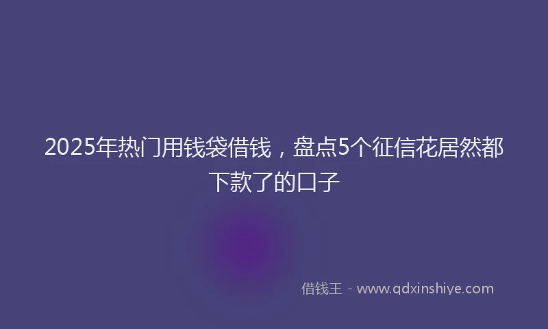 2025年热门用钱袋借钱，盘点5个征信花居然都下款了的口子