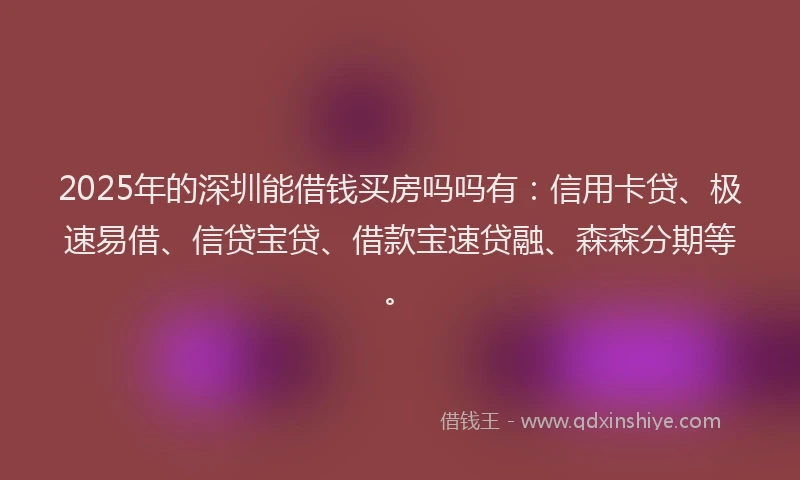 2025年的深圳能借钱买房吗吗有：信用卡贷、极速易借、信贷宝贷、借款宝速贷融、森森分期等。