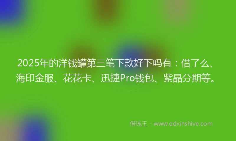 2025年的洋钱罐第三笔下款好下吗有：借了么、海印金服、花花卡、迅捷Pro钱包、紫晶分期等。