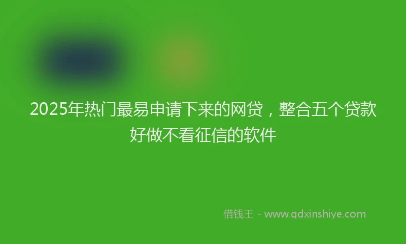 2025年热门最易申请下来的网贷，整合五个贷款好做不看征信的软件