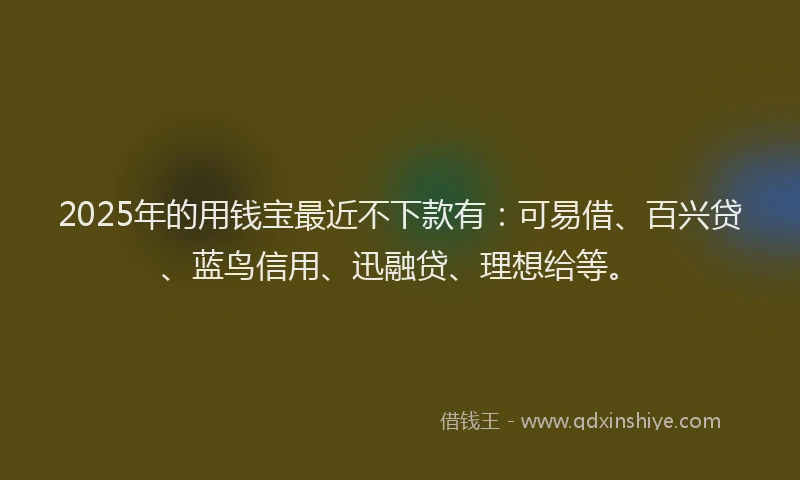 2025年的用钱宝最近不下款有：可易借、百兴贷、蓝鸟信用、迅融贷、理想给等。