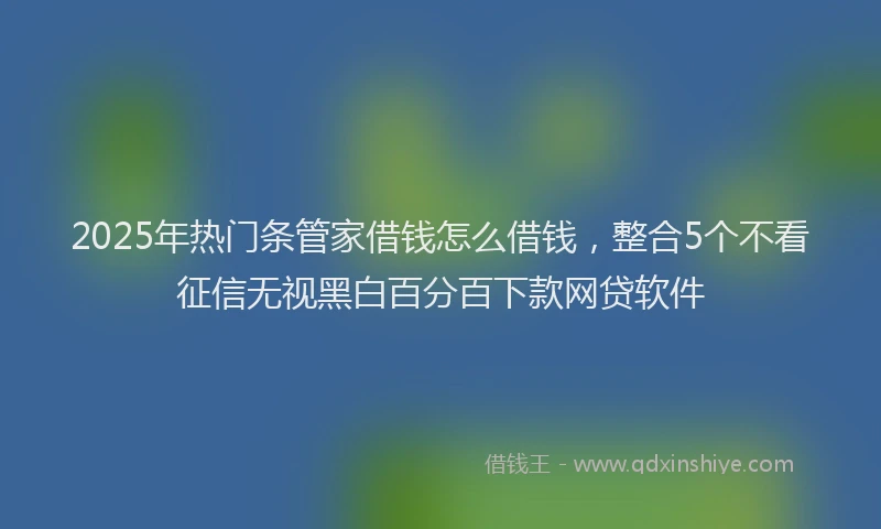 2025年热门条管家借钱怎么借钱，整合5个不看征信无视黑白百分百下款网贷软件