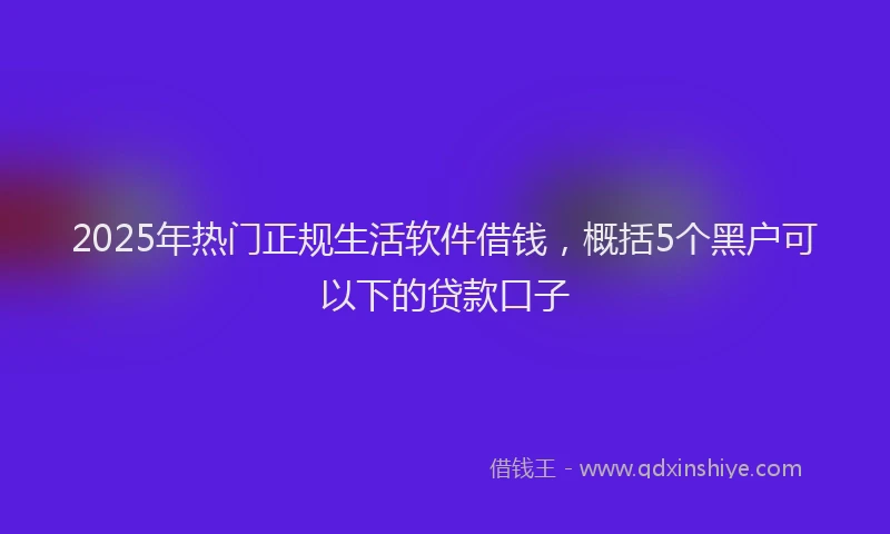 2025年热门正规生活软件借钱，概括5个黑户可以下的贷款口子