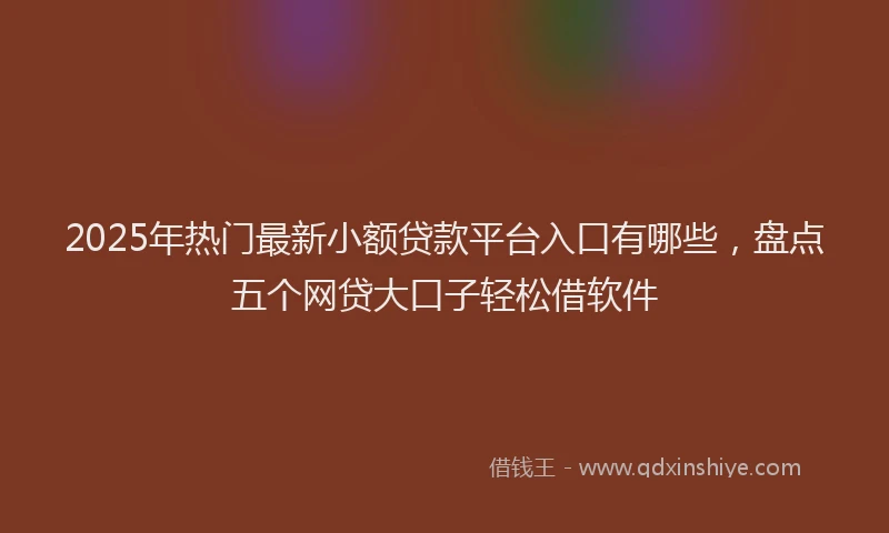 2025年热门最新小额贷款平台入口有哪些，盘点五个网贷大口子轻松借软件
