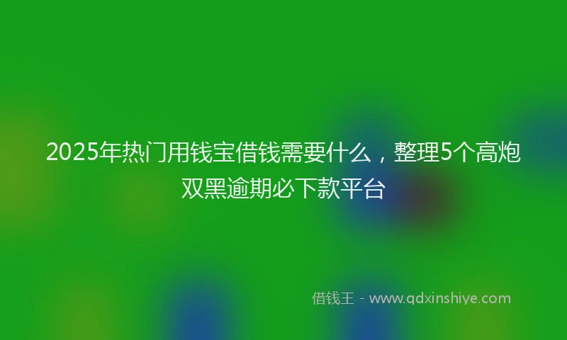 2025年热门用钱宝借钱需要什么，整理5个高炮双黑逾期必下款平台