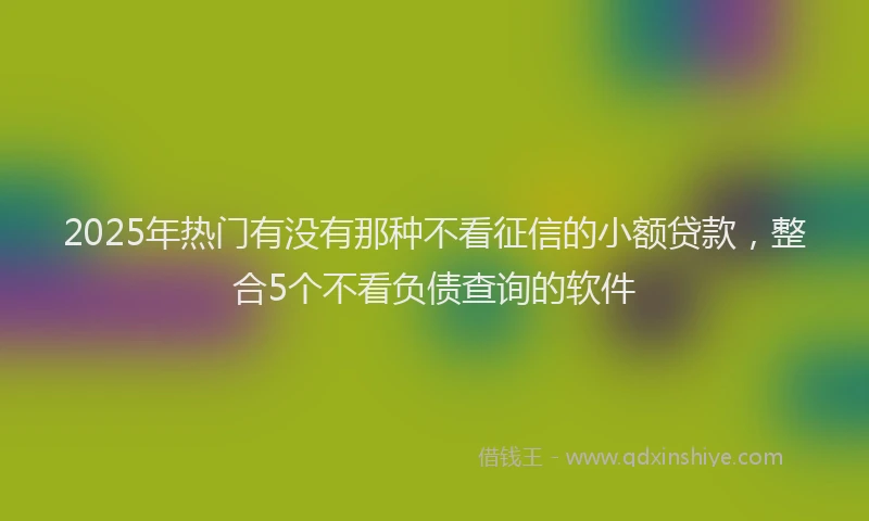 2025年热门有没有那种不看征信的小额贷款，整合5个不看负债查询的软件