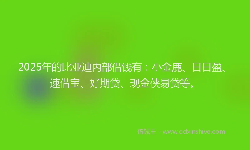 2025年的比亚迪内部借钱有：小金鹿、日日盈、速借宝、好期贷、现金侠易贷等。