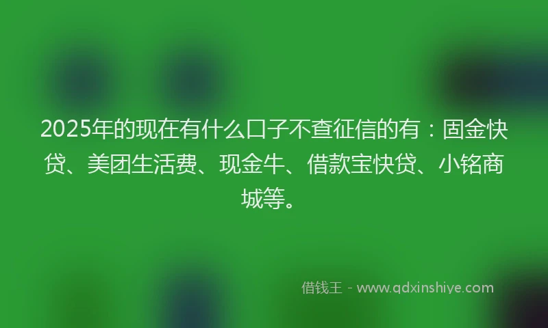 2025年的现在有什么口子不查征信的有：固金快贷、美团生活费、现金牛、借款宝快贷、小铭商城等。