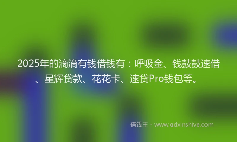 2025年的滴滴有钱借钱有：呼吸金、钱鼓鼓速借、星辉贷款、花花卡、速贷Pro钱包等。