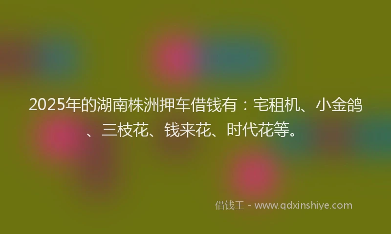 2025年的湖南株洲押车借钱有：宅租机、小金鸽、三枝花、钱来花、时代花等。