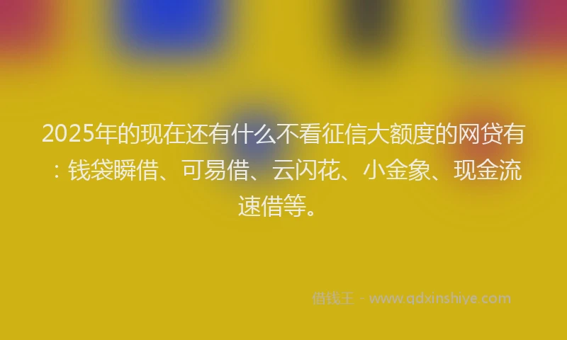 2025年的现在还有什么不看征信大额度的网贷有：钱袋瞬借、可易借、云闪花、小金象、现金流速借等。