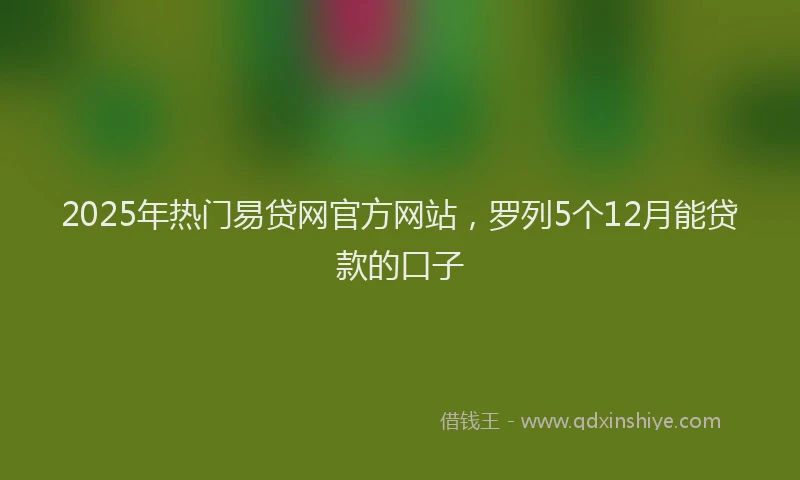 2025年热门易贷网官方网站，罗列5个12月能贷款的口子