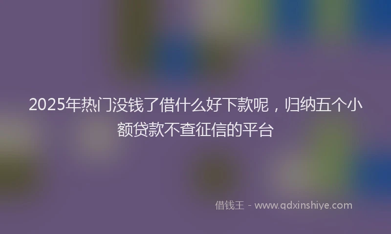 2025年热门没钱了借什么好下款呢，归纳五个小额贷款不查征信的平台