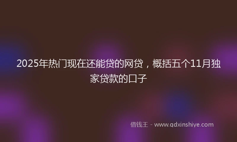 2025年热门现在还能贷的网贷，概括五个11月独家贷款的口子