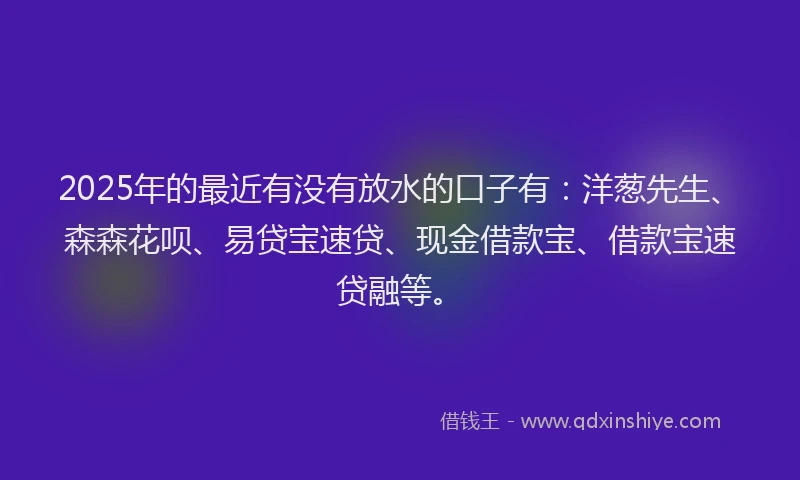 2025年的最近有没有放水的口子有：洋葱先生、森森花呗、易贷宝速贷、现金借款宝、借款宝速贷融等。