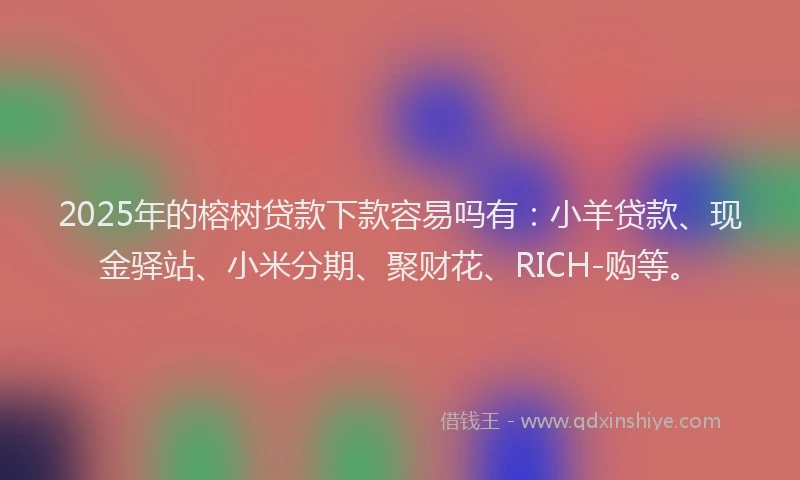 2025年的榕树贷款下款容易吗有：小羊贷款、现金驿站、小米分期、聚财花、RICH-购等。