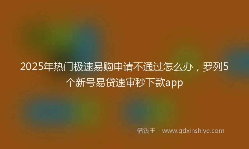 2025年热门极速易购申请不通过怎么办，罗列5个新号易贷速审秒下款app