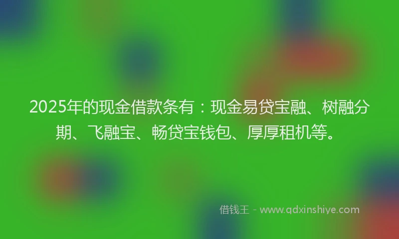 2025年的现金借款条有：现金易贷宝融、树融分期、飞融宝、畅贷宝钱包、厚厚租机等。