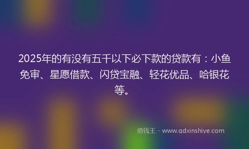 2025年的有没有五千以下必下款的贷款有：小鱼免审、星愿借款、闪贷宝融、轻花优品、哈银花等。