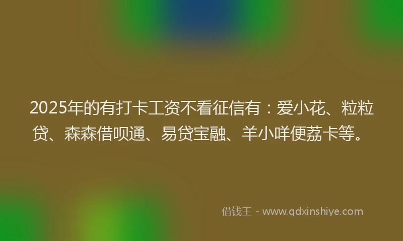 2025年的有打卡工资不看征信有：爱小花、粒粒贷、森森借呗通、易贷宝融、羊小咩便荔卡等。