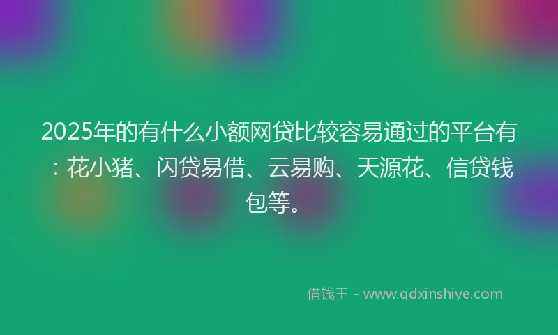 2025年的有什么小额网贷比较容易通过的平台有：花小猪、闪贷易借、云易购、天源花、信贷钱包等。