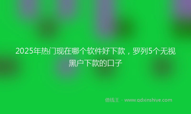 2025年热门现在哪个软件好下款，罗列5个无视黑户下款的口子