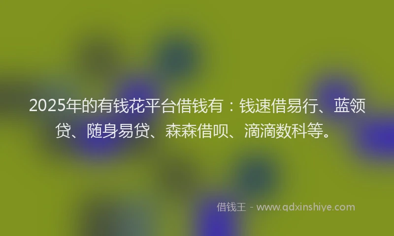 2025年的有钱花平台借钱有：钱速借易行、蓝领贷、随身易贷、森森借呗、滴滴数科等。