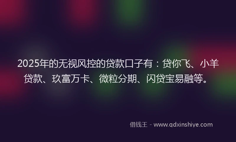2025年的无视风控的贷款口子有：贷你飞、小羊贷款、玖富万卡、微粒分期、闪贷宝易融等。
