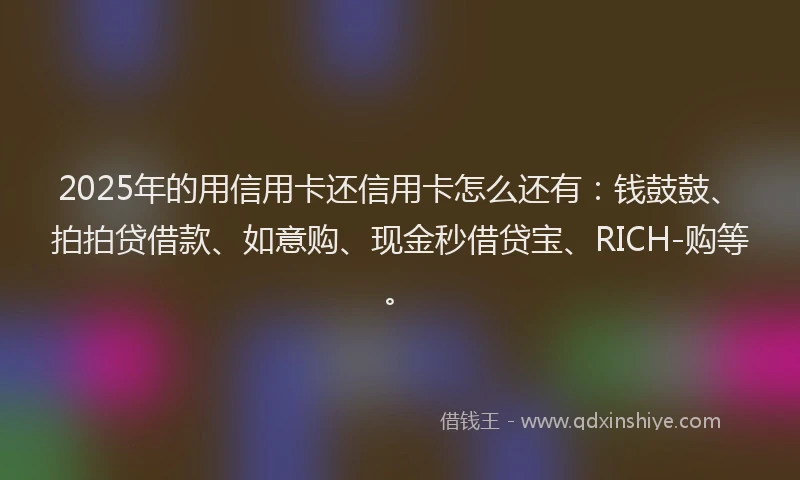 2025年的用信用卡还信用卡怎么还有：钱鼓鼓、拍拍贷借款、如意购、现金秒借贷宝、RICH-购等。