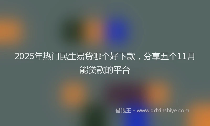 2025年热门民生易贷哪个好下款，分享五个11月能贷款的平台