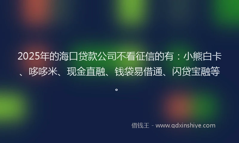 2025年的海口贷款公司不看征信的有：小熊白卡、哆哆米、现金直融、钱袋易借通、闪贷宝融等。