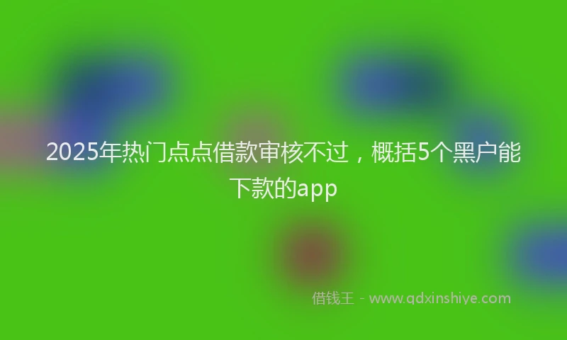 2025年热门点点借款审核不过，概括5个黑户能下款的app