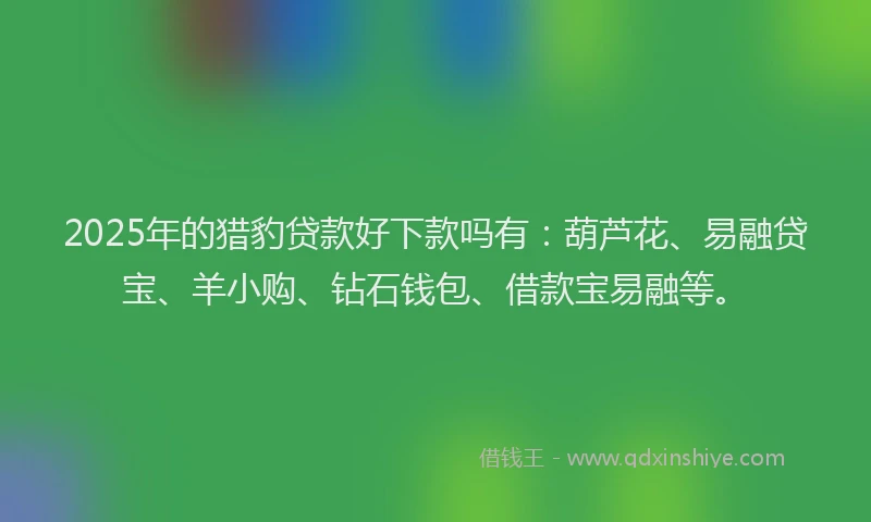 2025年的猎豹贷款好下款吗有：葫芦花、易融贷宝、羊小购、钻石钱包、借款宝易融等。