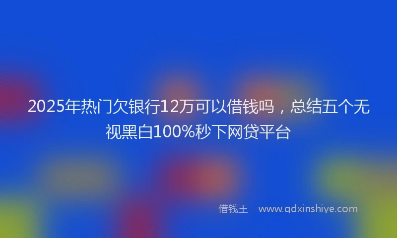 2025年热门欠银行12万可以借钱吗，总结五个无视黑白100%秒下网贷平台