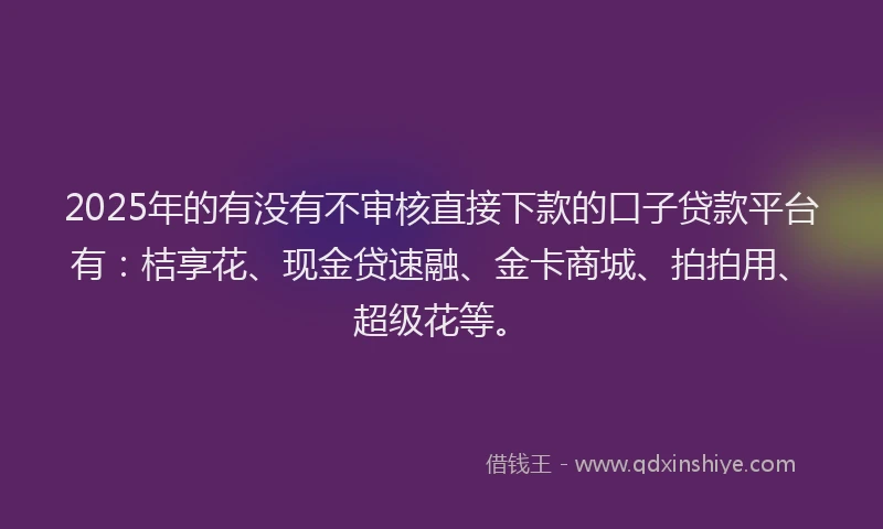 2025年的有没有不审核直接下款的口子贷款平台有：桔享花、现金贷速融、金卡商城、拍拍用、超级花等。