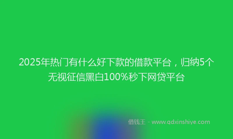 2025年热门有什么好下款的借款平台，归纳5个无视征信黑白100%秒下网贷平台